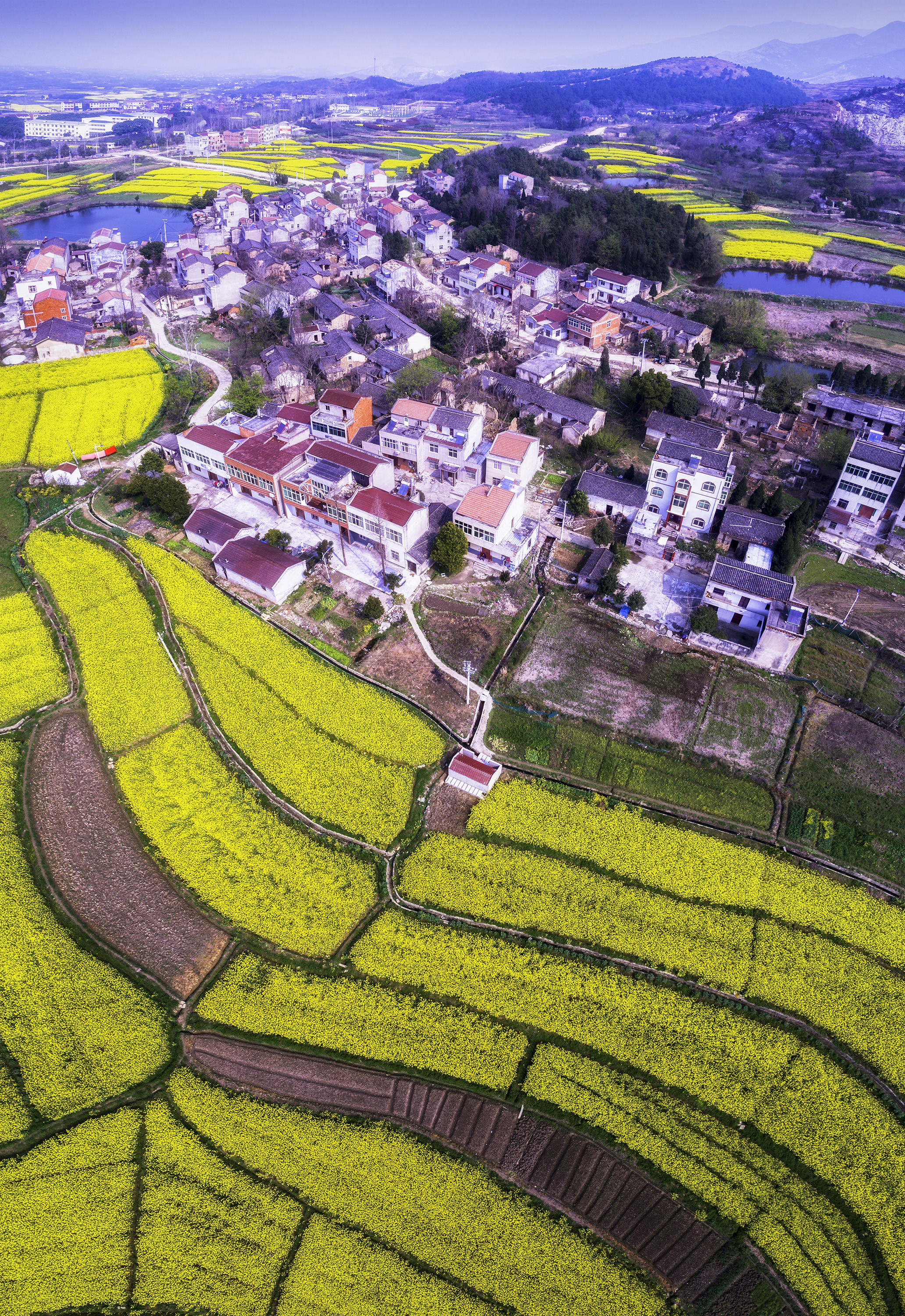 " content="text/html; charset=utf-8">      作品名称:  春到马大湾